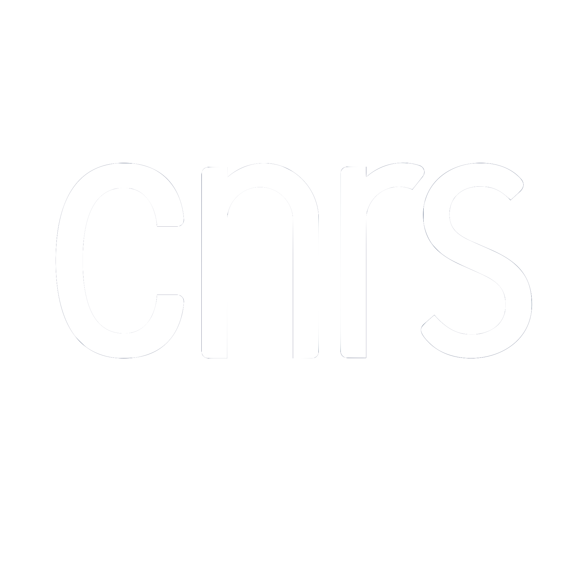 LOGO_CNRS_BLANC